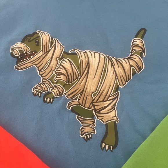 Rare EUC Coach X Michael B Jordan Men's Mummified Rexy Hoodie Size S - Picture 3 of 8